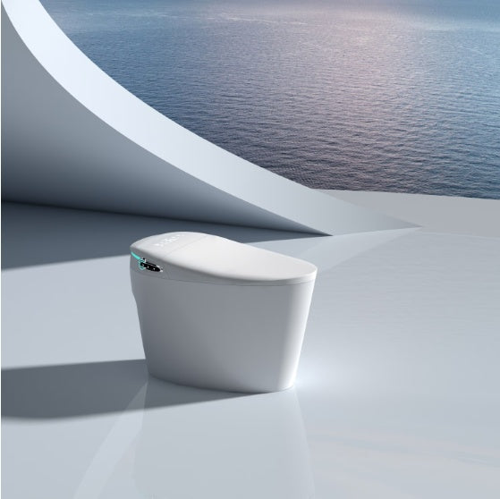 Smart Toilets